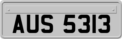 AUS5313