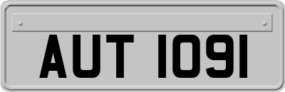 AUT1091