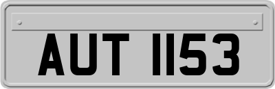 AUT1153