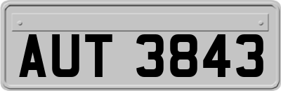 AUT3843