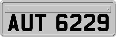 AUT6229