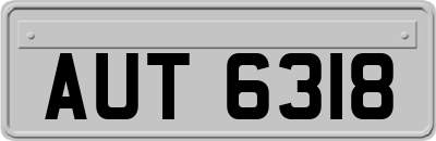 AUT6318