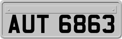 AUT6863