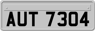 AUT7304