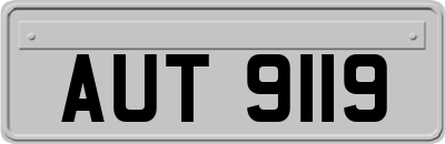 AUT9119