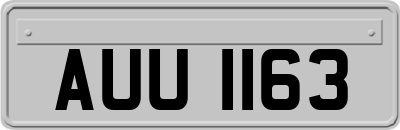 AUU1163