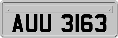 AUU3163