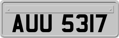 AUU5317