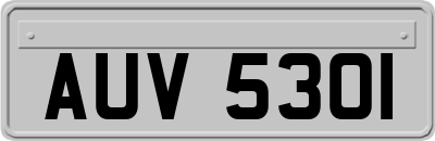 AUV5301