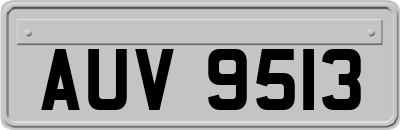 AUV9513