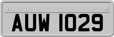 AUW1029