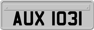 AUX1031