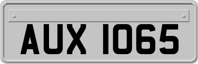AUX1065