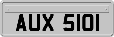 AUX5101