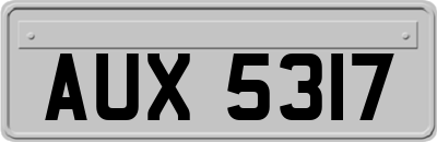 AUX5317