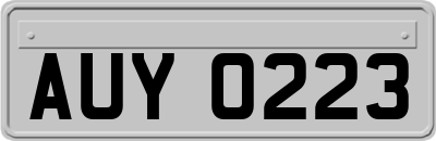 AUY0223