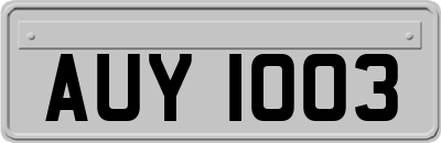 AUY1003