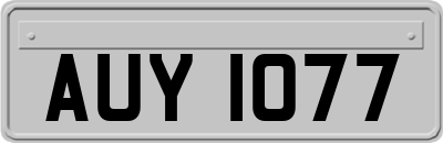 AUY1077