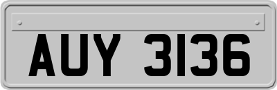 AUY3136