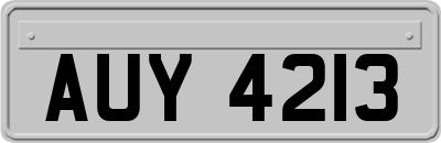 AUY4213
