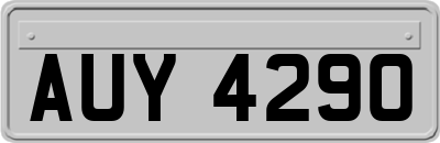 AUY4290