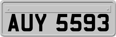 AUY5593