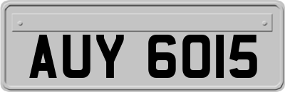 AUY6015