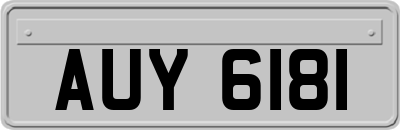 AUY6181