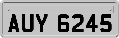 AUY6245