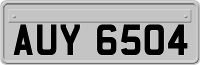 AUY6504