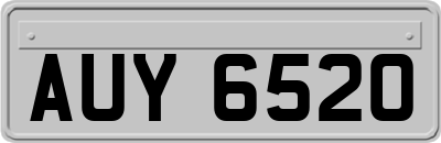 AUY6520