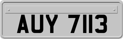 AUY7113