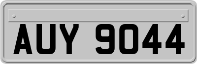 AUY9044