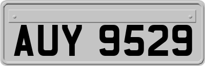 AUY9529