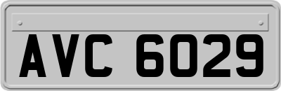 AVC6029