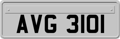 AVG3101