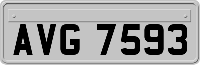 AVG7593