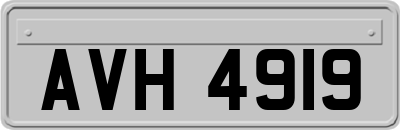 AVH4919