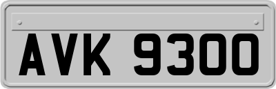 AVK9300