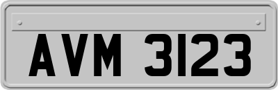 AVM3123
