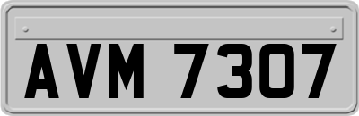 AVM7307