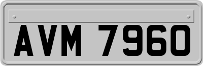 AVM7960