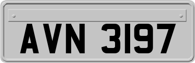 AVN3197