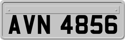 AVN4856