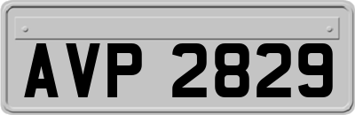 AVP2829