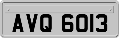 AVQ6013