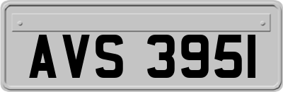 AVS3951