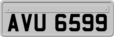 AVU6599