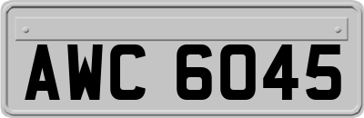 AWC6045