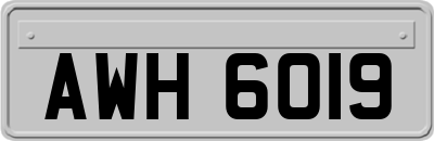 AWH6019